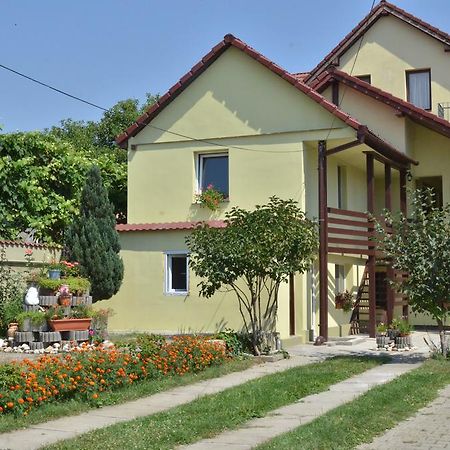 Vila Bel Ami Hotell Şelimbăr Rom bilde