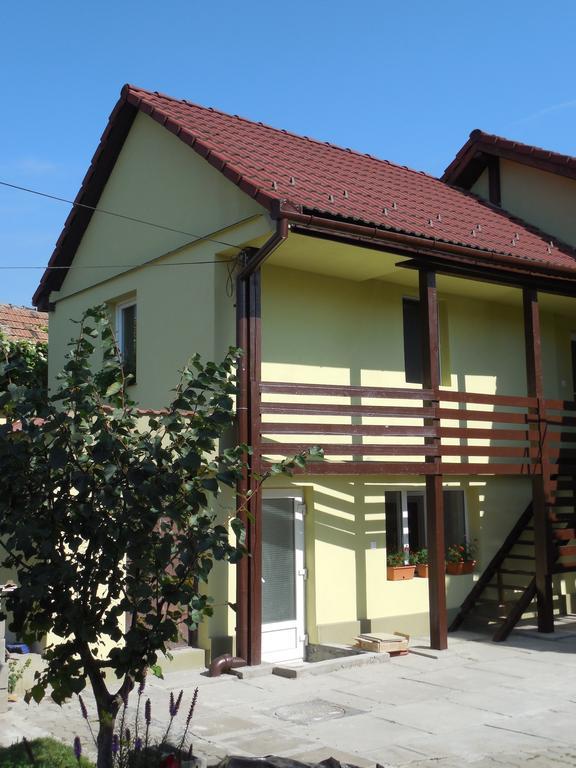 Vila Bel Ami Hotell Şelimbăr Rom bilde